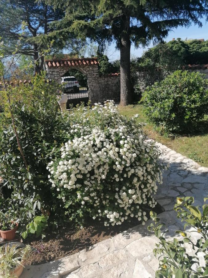 Apartmán Rea Crikvenica Exteriér fotografie