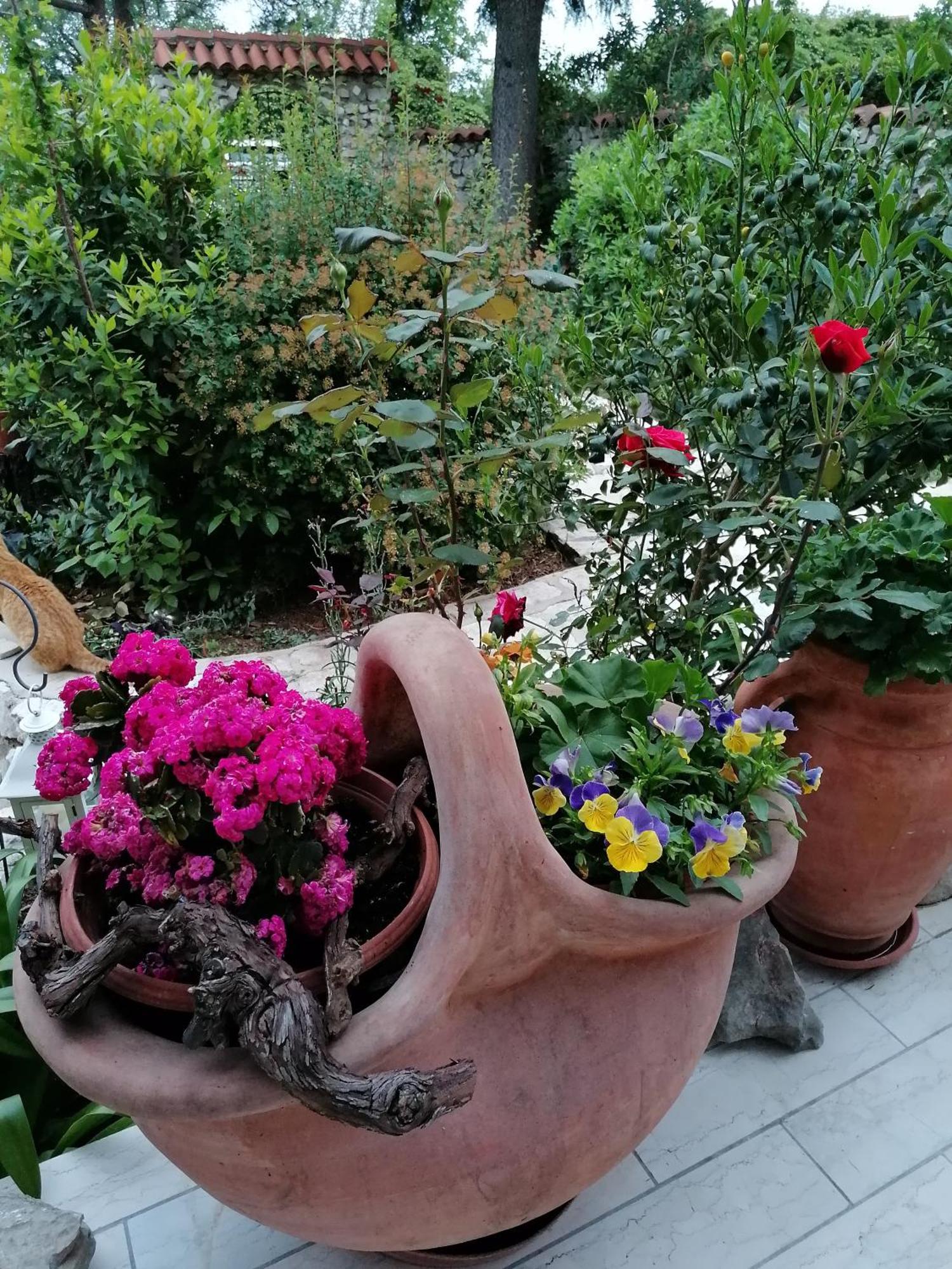 Apartmán Rea Crikvenica Pokoj fotografie